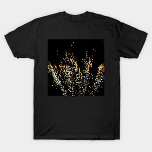 Firework No.71 T-Shirt